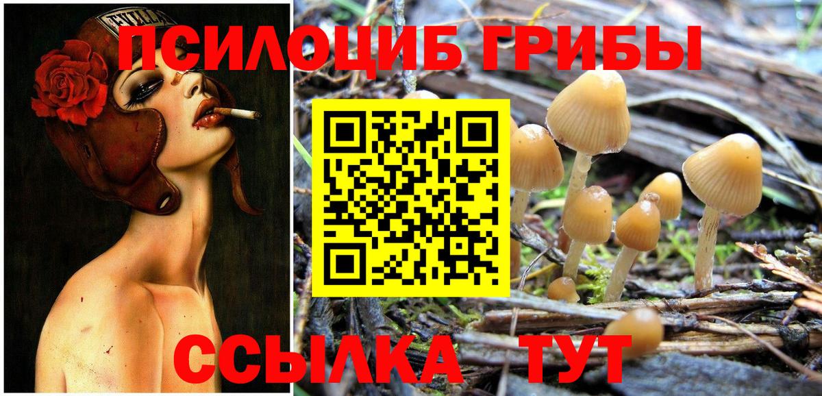 как найти   Галлюциногенные грибы прущие грибы  Ханты-Мансийск  Вход с VPN  Галлюциногенные грибы MAGIC MUSHROOMS 